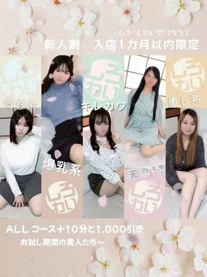 ☆しろわい新人割☆イメージ写真