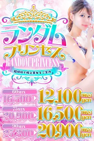 ★★★ランダムプリンセス★★★イメージ写真