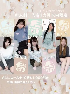 ☆しろわい新人割☆イメージ写真