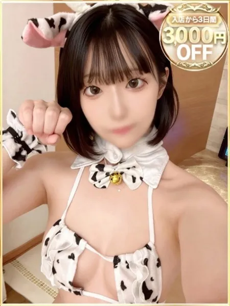 1枚目の写真