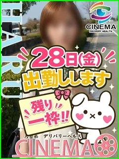 はるの紹介写真
