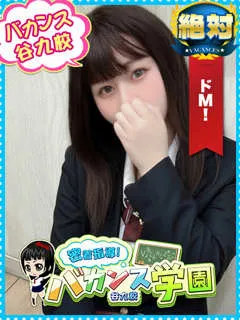 ちまの紹介写真の紹介写真