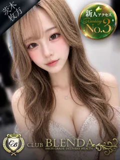 向日葵【ひまわり】の紹介写真