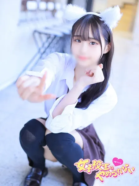 ねこの写真1枚目