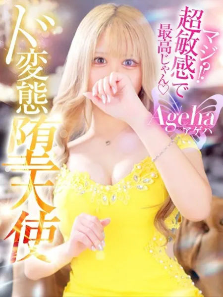 あげはの写真1枚目