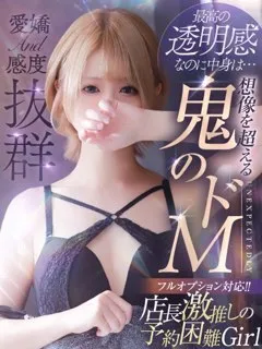 みみの紹介写真
