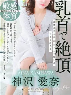 神沢 愛奈/35歳 - (人妻セレブ宮殿)
