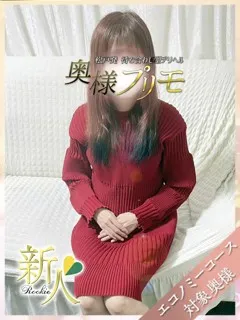 ひなみの紹介写真