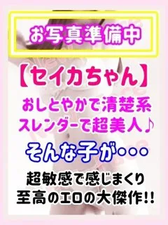 セイカ/びしょぬれ新人秘書のサムネイル