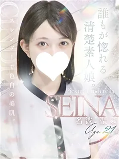 名波 聖菜/21歳 - (シンデレラ宮殿)