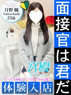 月野 楓/23歳 - (シンデレラ宮殿)