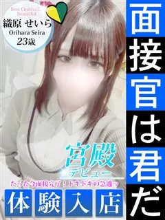 織原 せいら/23歳 - (シンデレラ宮殿)