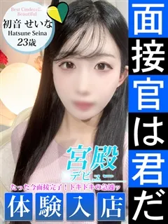 初音 せいなの紹介写真の紹介写真