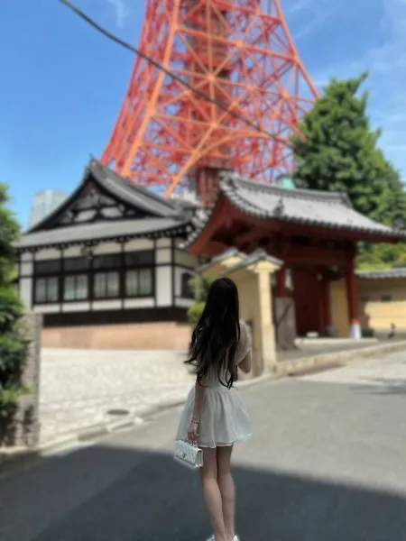 5枚目の写真