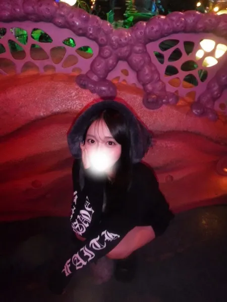 4枚目の写真