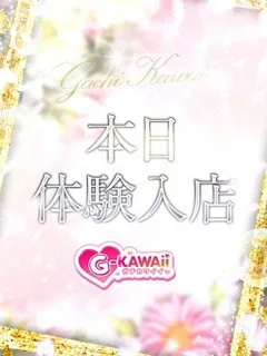 はるひ/19歳 - (ガチカワイイ)
