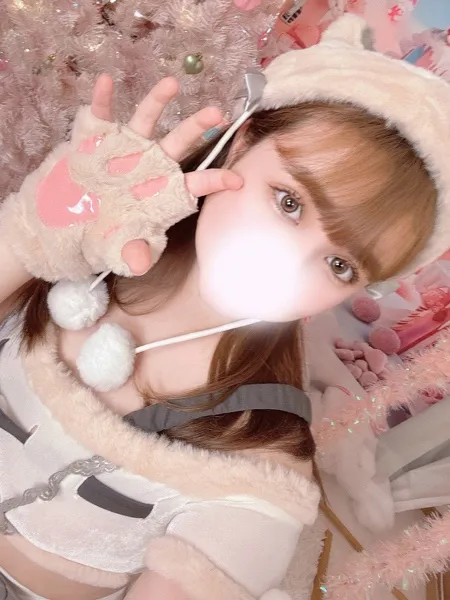 1枚目の写真