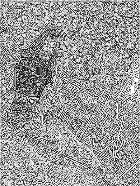 葉月の写真5枚目