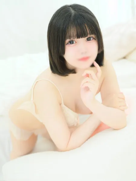 ちわわの写真4枚目