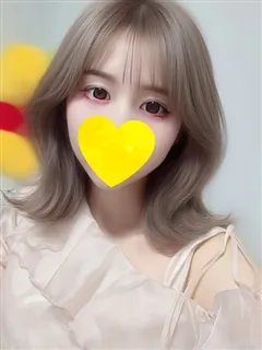 ミズキの紹介写真の紹介写真