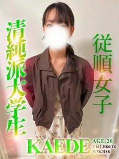 かえでの紹介写真