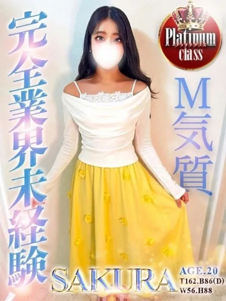 1枚目の写真